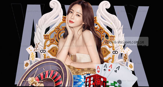 如何访问公司产品的在线平台？